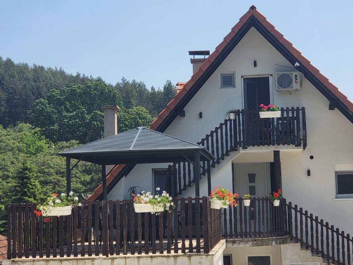 Vila Jovana Vrdnik Exterior foto